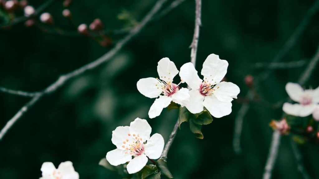 Top 10 Instagram Influencers die du in Austria kennen musst