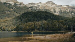 Snapchat Werbung Indien 2025 Preise Schweiz Insights