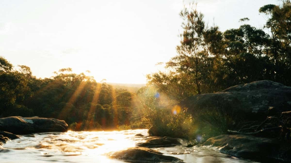 Wie Schweizer Marken mit KakaoTalk in Sri Lanka Influencer rekrutieren – Der Insider-Guide
