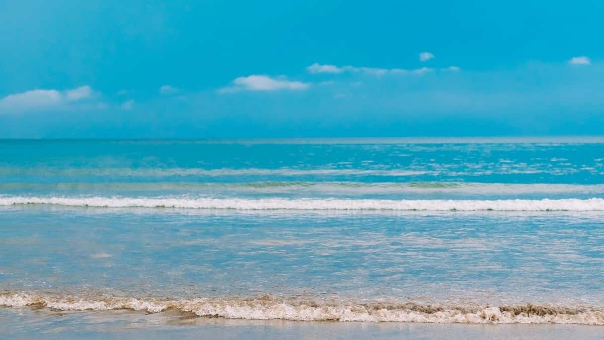Wie Zalo-Creators in Puerto Rico mit Live-Streaming abräumen – Insider-Tipps für die Schweiz