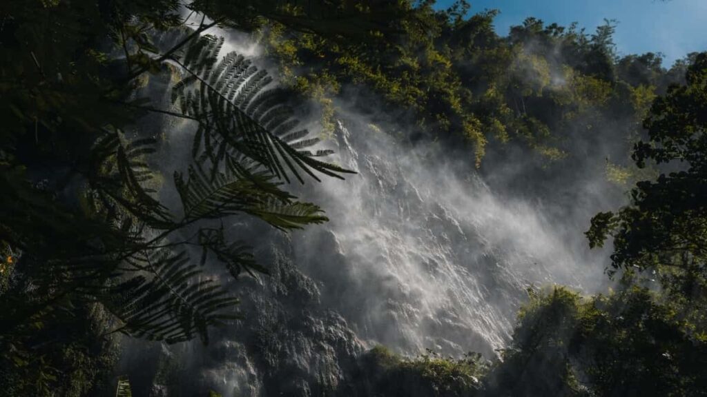 "Praktische SchrittfurSchrittStrategie fur Werbetreibende in der Schweiz: wie man argentinische Creator findet, die uber HuluSerien & StreamingContent Reichweite liefern."