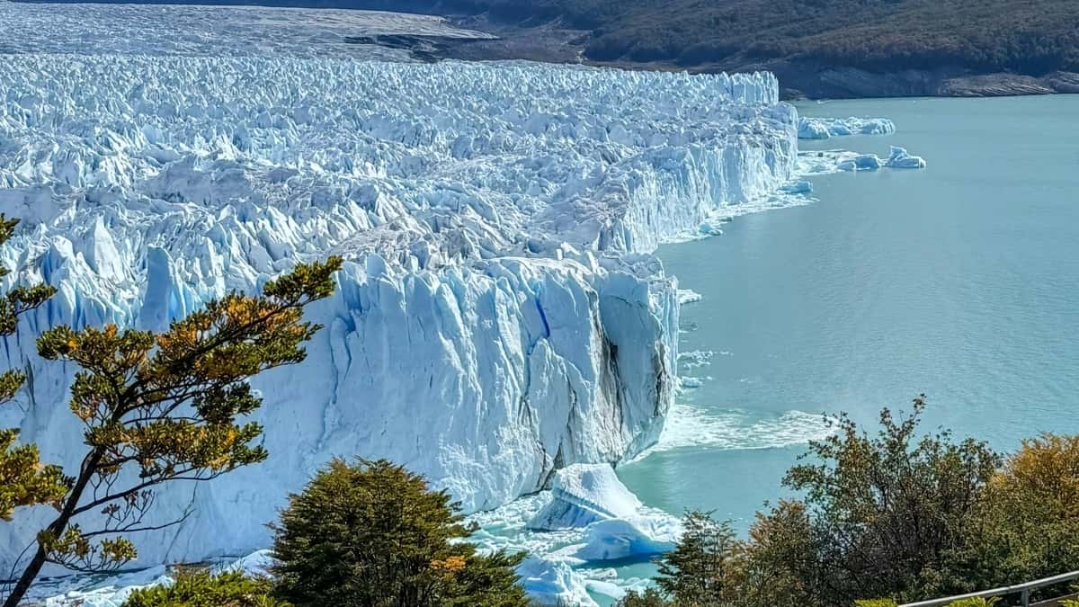 Swiss app marketers: Chile Twitter creators for downloads
