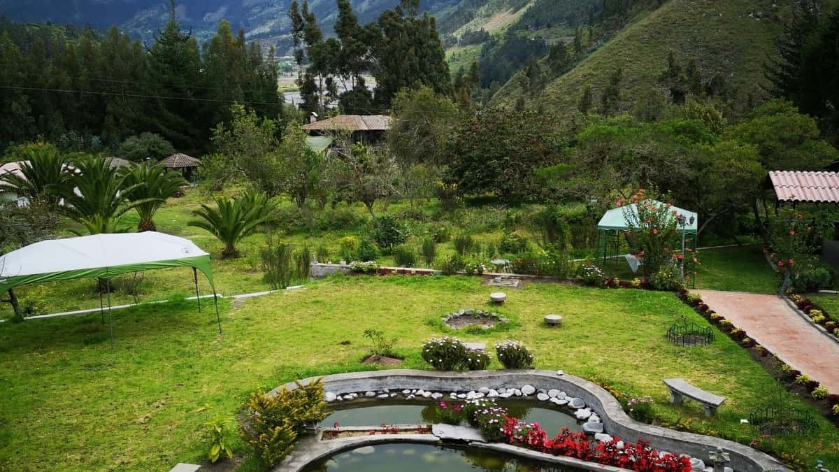 Schweizer Creator: Algerische Marken auf Douyin für Hotels