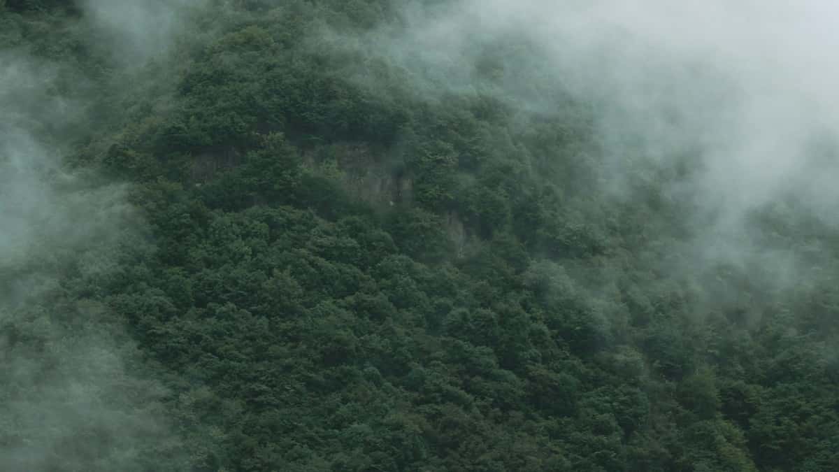 Schweizer Brands: Bulgaria SoundCloud Creators fĂŒr Seeding