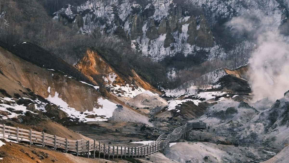 Swiss Brands: So findest du südkoreanische Disney+ Creator