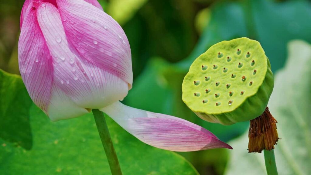 Praktische Taktiken fur Schweizer Creator: wie du UAEMarken auf OnlyFans fur gesponserte GamingStreams ansprichst rechtssichere Ansatze, OutreachVorlagen und PerformanceKPIs.