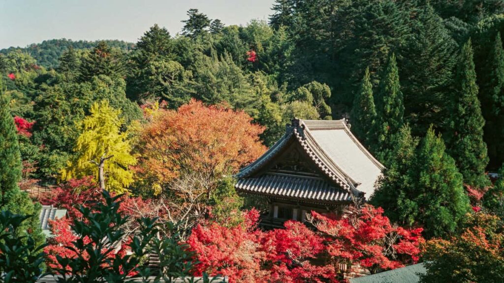 Praxishandbuch fur Schweizer Advertiser: wie man Costa Rica SoundCloudCreators identifiziert, bewertet und fur Creatorled SalesPushes aktiviert mit lokalen Taktiken und DatenInsights.