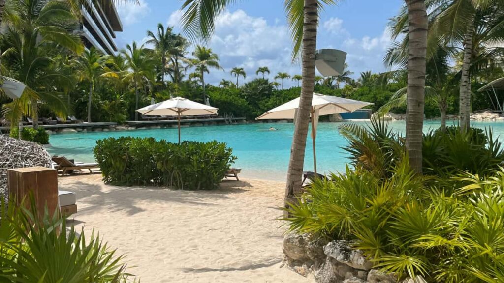 Praktische Anleitung fur Schweizer Creator: wie du ChinaMarken via Telegram kontaktierst, exklusive Rabattcodes teilst und Deals sicher prufst.