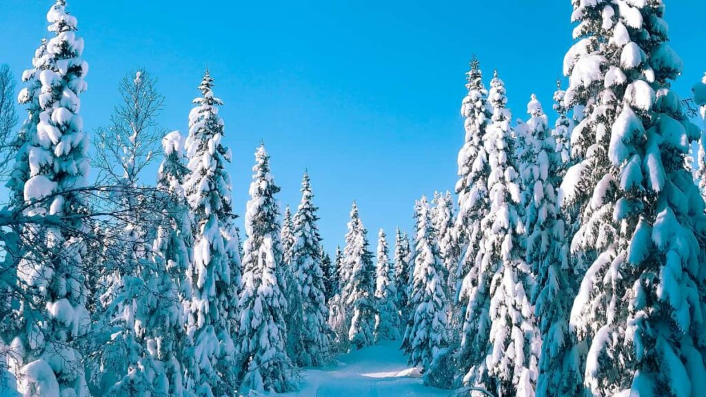 Praktischer Guide fur Schweizer Advertiser: wie du slovakische TaobaoCreator findest, onboardest und Creatorled SalesPushes startest mit lokalen Tipps und RisikoChecks.