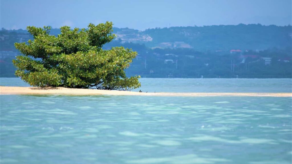 Praktischer Guide fur Schweizer Brands: wie man chilenische KuaishouCreator findet, auswahlt und in Livestreams integriert inkl. Tools, Risiken und KooperationsChecklist.