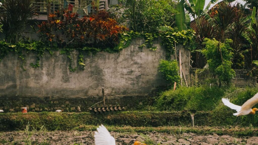 Praktische Anleitung fur Schweizer Creator: wie du israelische Marken auf eBay findest, kontaktierst und echte Kooperationschancen erhohst mit aktuellen Insights und Tools.