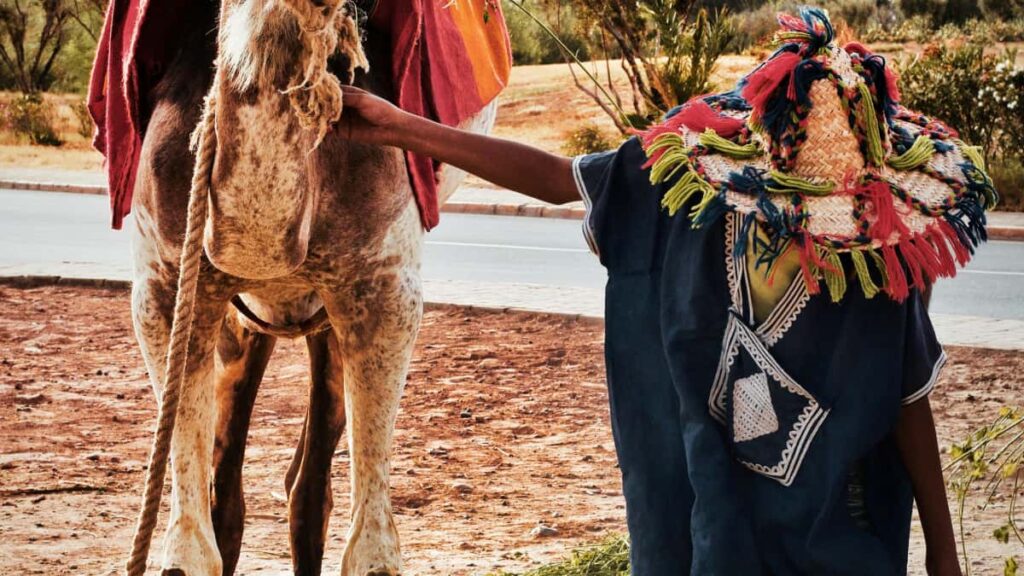 Praktische Anleitung fur Schweizer Advertiser: wie man serbische DiscordCreators findet, anspricht und fur MakeupTutorials bucht inkl. Tools, Preisrahmen und PraxisChecklist.