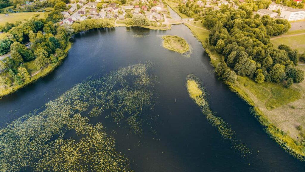 Praktischer Leitfaden fur Schweizer Advertiser: Wie du gezielt SnapchatCreator aus Neuseeland fur virale UnboxingKampagnen findest, ansprichst und messbar skalierst.