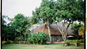 Praktische Anleitung fur Schweizer Creator: wie du NewZealandMarken uber HBO MaxSponsoren erreichst und mit starken CTAs echte Conversions erzielst.