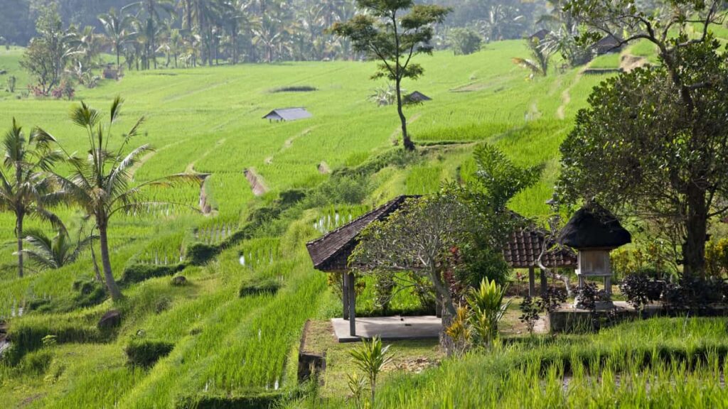 Praktischer Leitfaden fur Schweizer Creator: wie du Qatar-Marken auf Clubhouse ansprichsch, SongReactionVideos pitchsch und echte Deals schliesst.