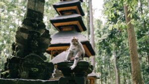 Praktische Strategie fur Schweizer Creator: Wie du serbische Marken auf Threads ansprichst, Reviews platzierst und lokale Trends nutzt mit konkreten Taktiken, Outreach-Script und rechtlichen Tipps.