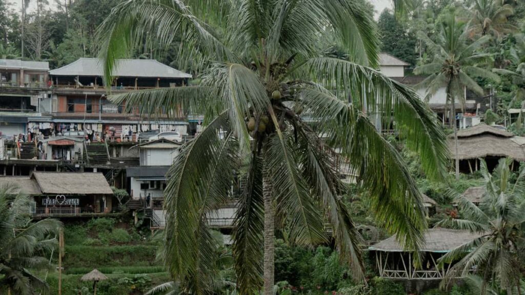 Praxisleitfaden fur Schweizer Advertiser: wie man Saudi-Arabien Kuaishou-Creators findet, evaluiert und fur App-Downloads skaliert mit lokalen Insights, Plattform-Trends und Compliance-Tipps.