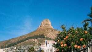 Praktische Anleitung fur Schweizer Creator, wie man bulgarische Brands auf eBay anspricht, Produktnutzen klar kommuniziert und Kooperationen gewinnt mit lokalen Taktiken und rechtlichen Stolperfallen.