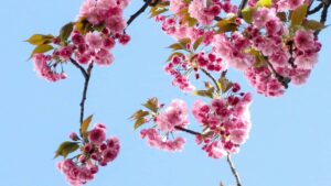 Praktischer Leitfaden fur Schweizer Advertiser: so findest du Costa Rica Spotify-Creators fur virale UnboxingKampagnen Tools, OutreachTaktiken und rechtliche Checkpoints.