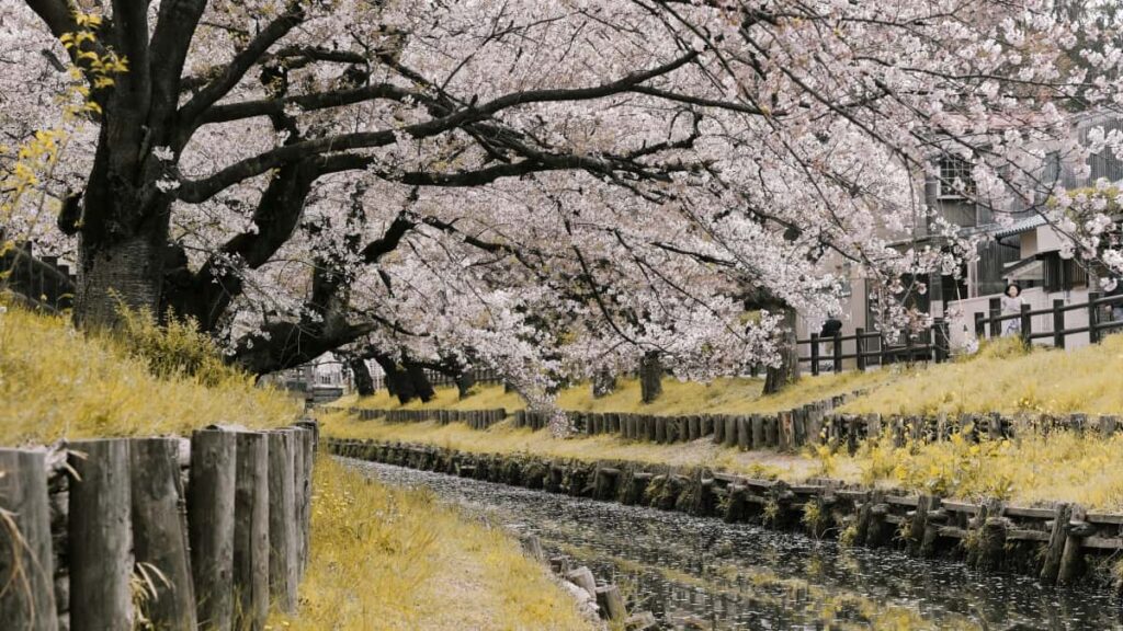 Praxistaktiken fur Schweizer Advertiser: wie man armenische eBayCreator identifiziert, bewertet und in qualifizierte Leads verwandelt inkl. Risiken, Tools und OutreachSkripts.