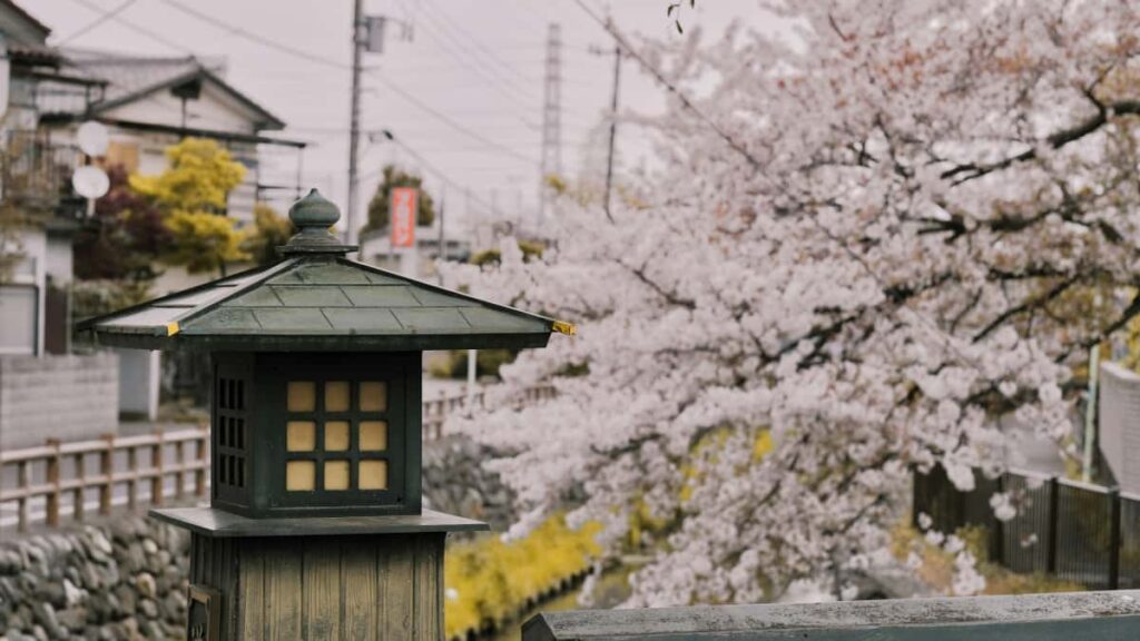 Praktische Roadmap fur Schweizer Advertiser: wie man kenianische InstagramCreators entdeckt, bewertet und fur Creatorled Nachhaltigkeitskampagnen verpflichtet lokal, effizient, fair.