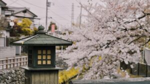 Praktische Roadmap fur Schweizer Advertiser: wie man kenianische InstagramCreators entdeckt, bewertet und fur Creatorled Nachhaltigkeitskampagnen verpflichtet lokal, effizient, fair.