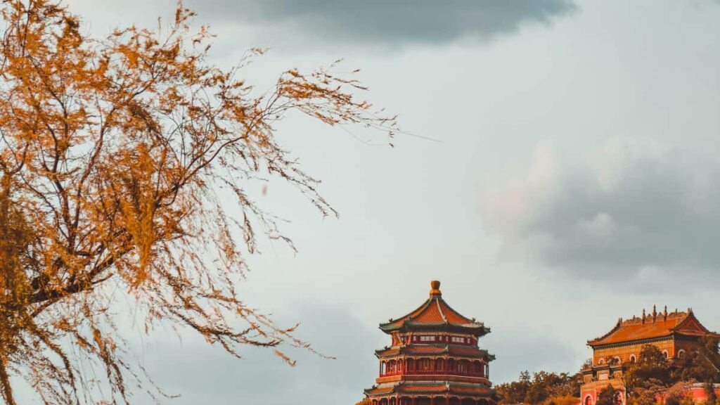 Praktischer Guide fur Schweizer Creator: wie du CostaRicaBrands auf Etsy kontaktierst, Kooperationen aufbaust und lokale Kunstler sichtbar machst mit Checklisten, OutreachTemplates und Risiken.