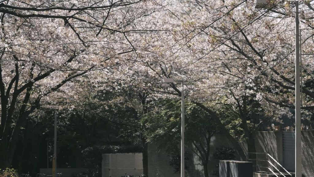 Praktische Anleitung fur Creator in der Schweiz: wie du iranische Marken auf Amazon findest, kontaktierst und glaubwurdige VorherNachherStories produzierst rechtssicher und effektiv.