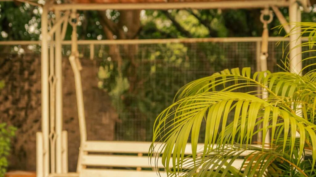 Praktische Anleitung fur Schweizer Werbetreibende: wie man authentische Douyin-Creators in Tansania findet, pruft und kooperiert inklusive Tools, lokale Insights und rechtlicher Basics.