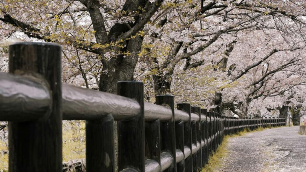 Praktischer Guide fur Schweizer Advertiser: wie man USDouyinCreator findet, bewertet und fur Sponsored Challenges gewinnt mit Tools, Prozessen und rechtlichen Basics.